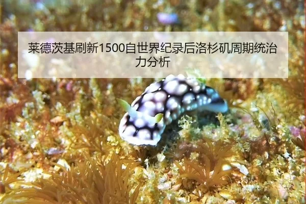 lai-de-ci-ji-shua-xin-zi-shi-jie-ji-lu-hou-luo-shan-ji-zhou-qi-tong-zhi-li-fen-xi-2-774.jpg